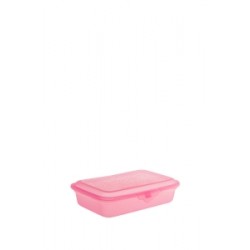 Lunch Box Envy TW-LB 68