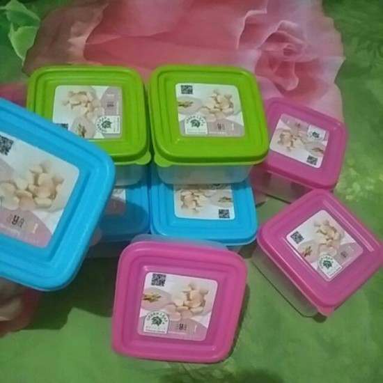 Kotak Bumbu Kotak Serbaguna Sealware Ayashi Green Leaf 7325