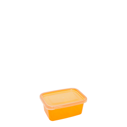 KOTAK MAKAN FRESH 900ml 7616