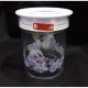 Ready Technoplast Angie Canister 1075ML C602